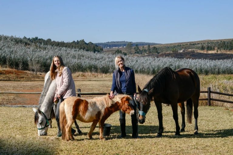 Mindfulness in Motion: What Horses Taught Me About Being Present